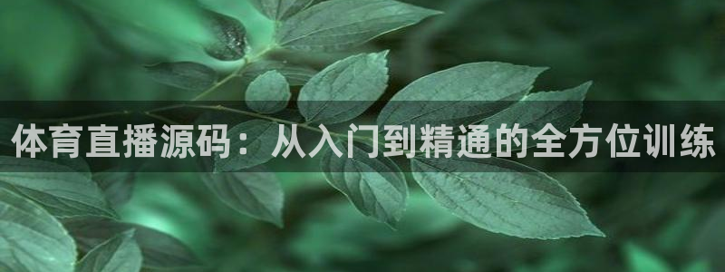 体育直播源码：从入门到精通的全方位训练