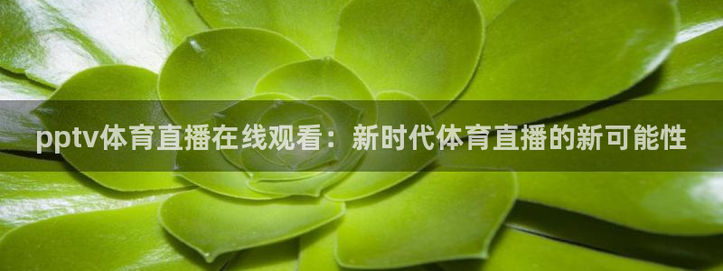 pptv体育直播在线观看：新时代体育直播的新可能性