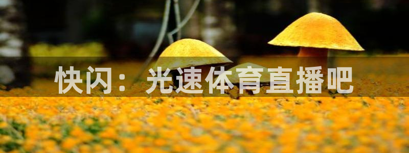 快闪：光速体育直播吧