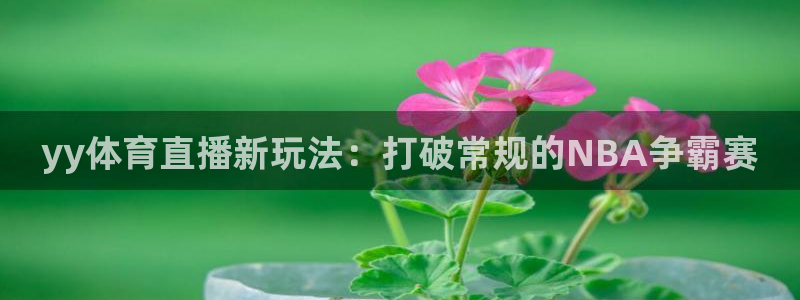yy体育直播新玩法：打破常规的NBA争霸赛