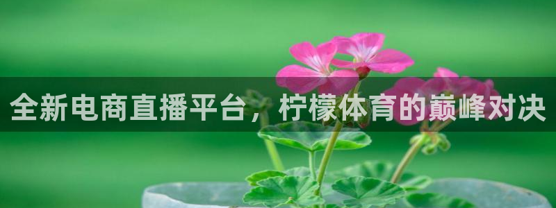全新电商直播平台，柠檬体育的巅峰对决
